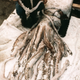 Illustration for article titled Marine Biologist Hopes to Raise Giant Squid In Captivity